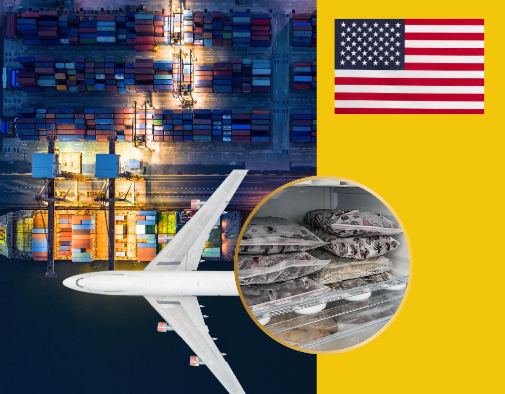 gửi hàng đông lạnh đi Mỹ