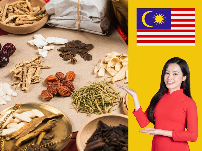 gửi thuốc đông y đi malaysia