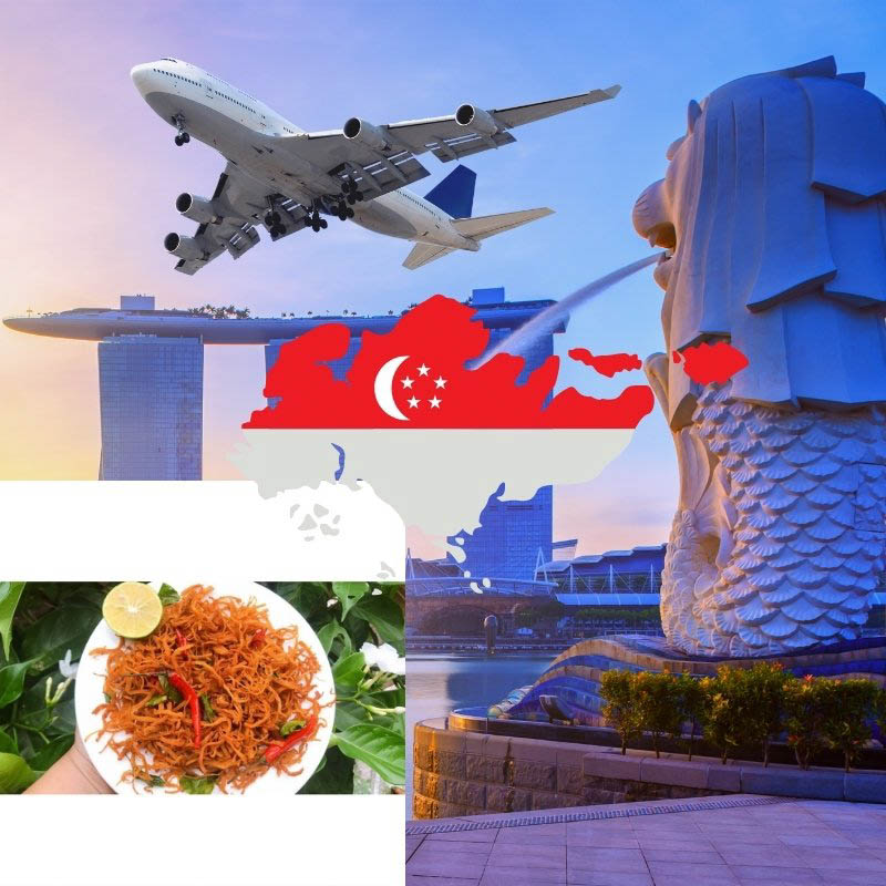Gửi khô gà đi Singapore siêu tốc chỉ mất khoảng 2 ngày