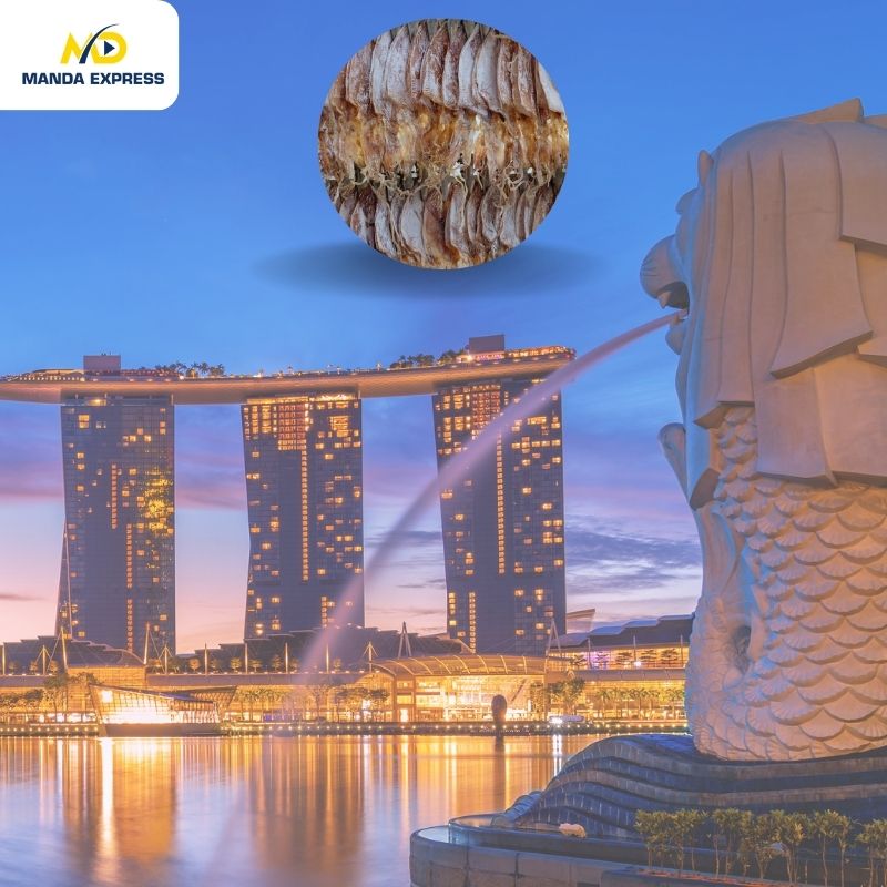 gửi khô mực đi singapore