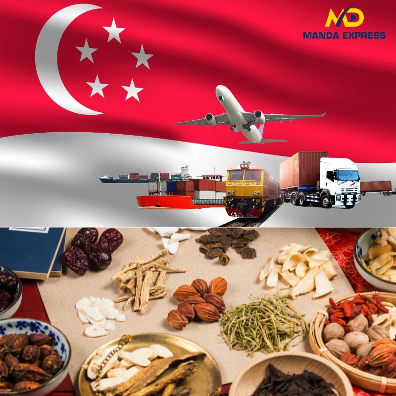 gửi thuốc đông y đi singapore