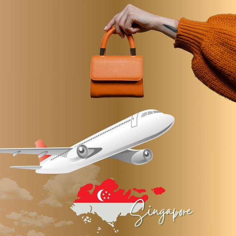 Gửi túi xách đi Singapore giá rẻ, nhanh chóng, uy tín