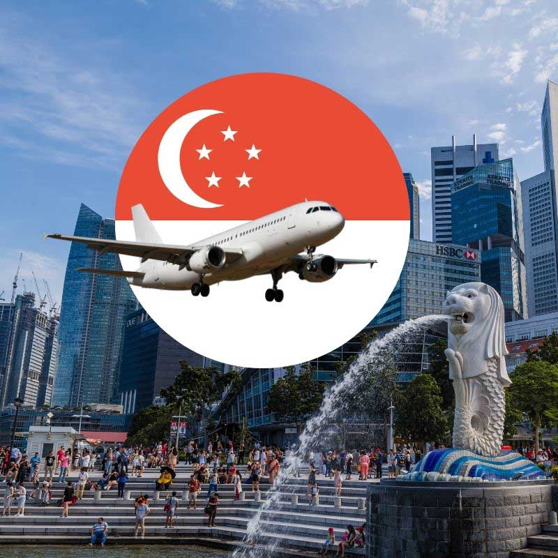 Những mặt hàng gửi đi Singapore phổ biến hiện nay 