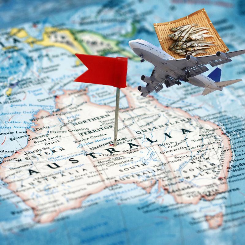 Gửi cá khô đi Úc tiết kiệm thời gian, chi phí và dễ dàng