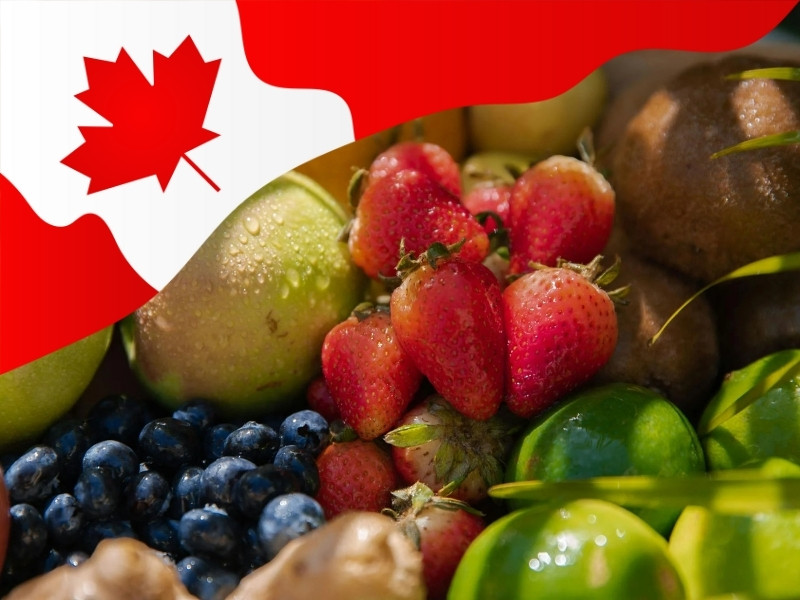 gửi trái cây đi canada