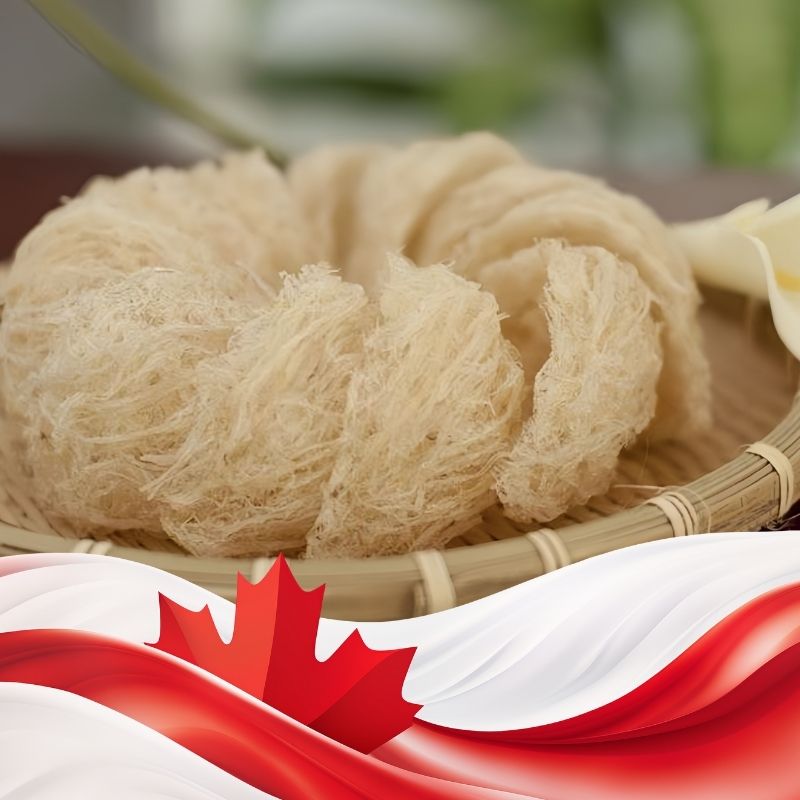 gửi yến sào đi canada