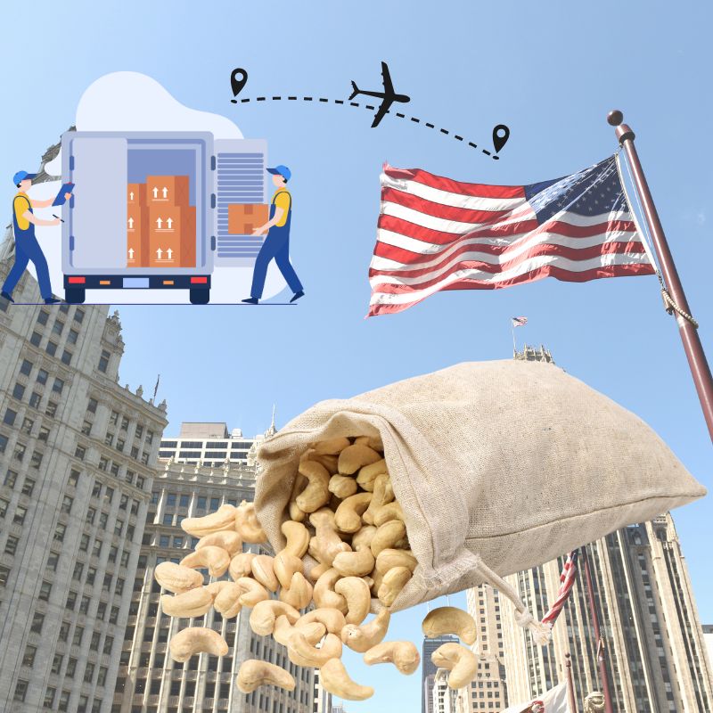 gửi hạt điều đi mỹ