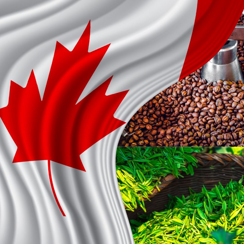 gửi trà cà phê đi canada