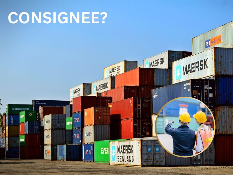 consignee là gì trong xuất nhập khẩu