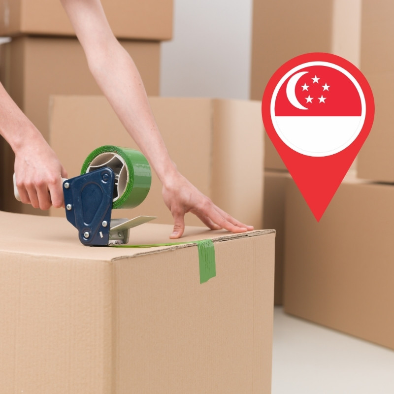 Đóng gói hàng hóa đi Singapore