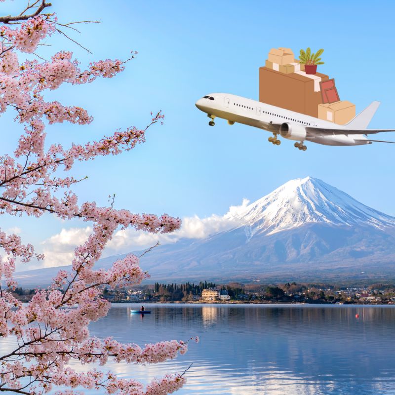 gửi hàng đi nhật bản tại gò vấp