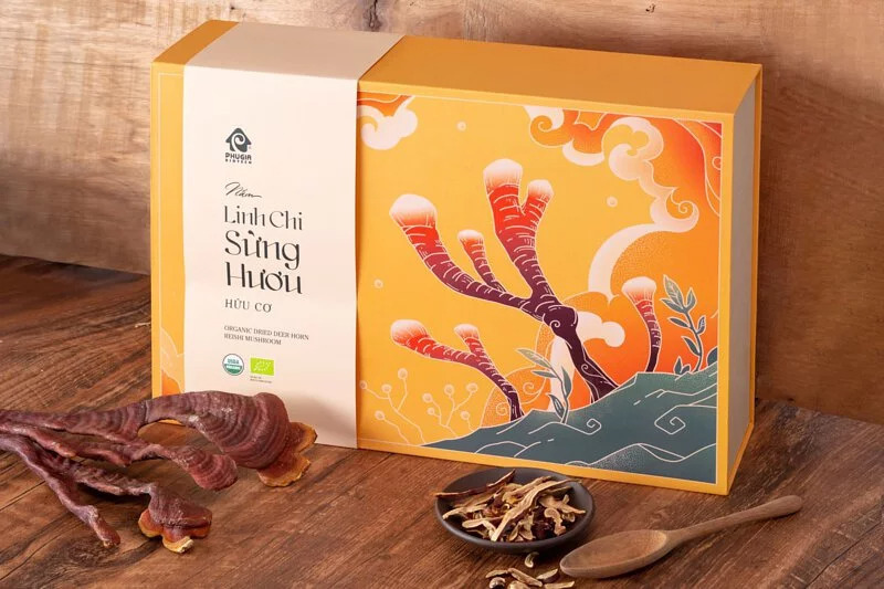 Hộp quà nấm linh chi