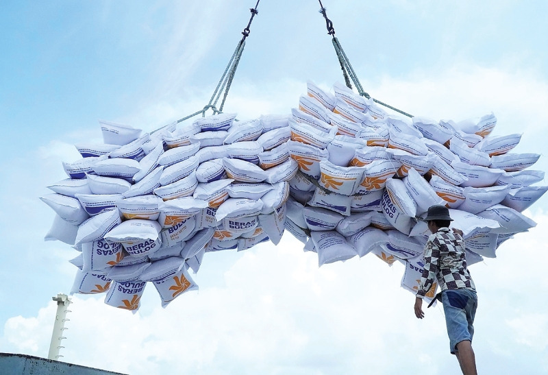 quy trình thủ tục xuất khẩu gạo