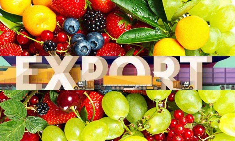 Xuất khẩu trái cây tươi đi nước ngoài