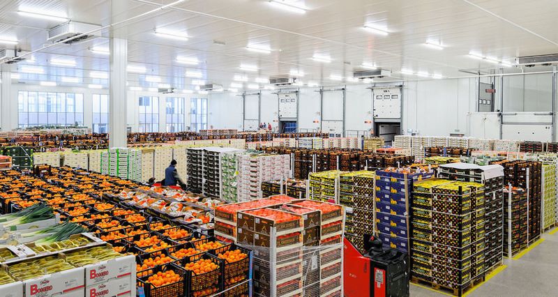 quy trình thủ tục xuất khẩu trái cây tươi
