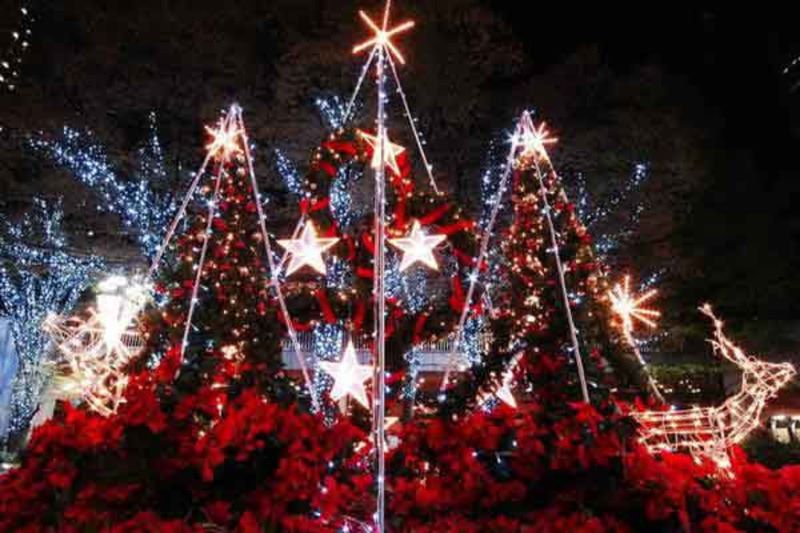 Giáng sinh tại Mỹ